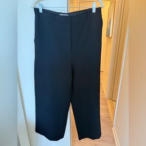 Aritzia Babaton Black Trousers